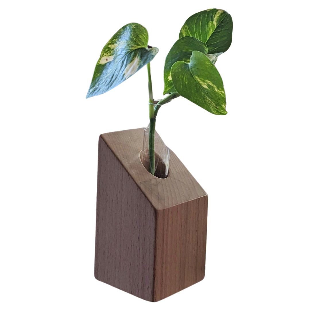 Table Top Wood Planter | Testube Planter