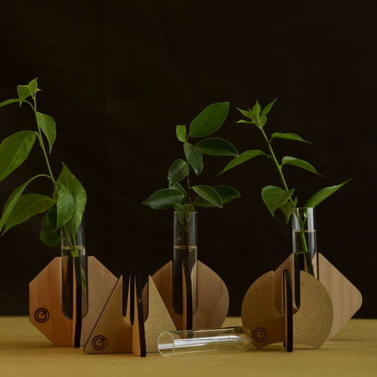 Mini Planter  | Test Tube Planter